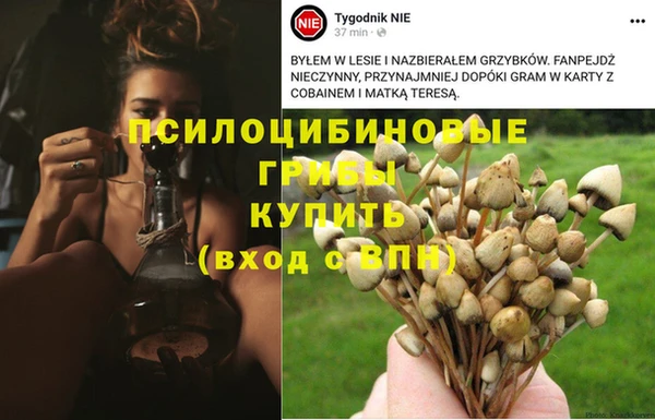 спайс Михайловка