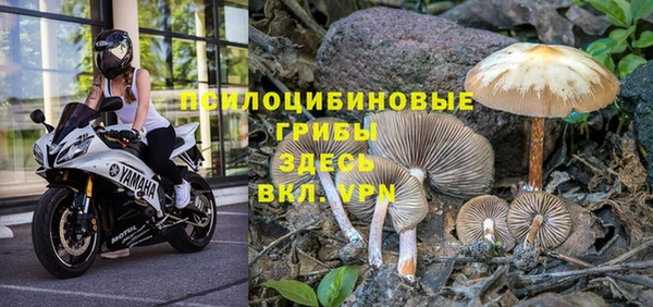 меф VHQ Михайлов